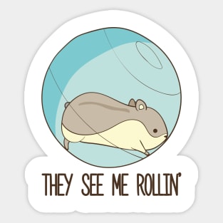 They See Me Rollin'- Hamster Sticker